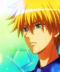 Takumi Usui Maid Sama Character paint by numbers