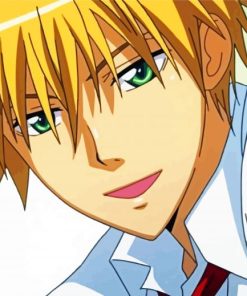 Takumi Usui Maid Sama paint by numbers