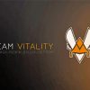 Team Vitality Logo paint by numbers