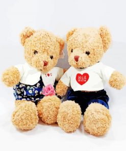 Teddy Bear Couple Toys paint by number