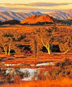 The Australian Landscape paint by number