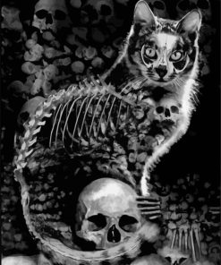 The Skull Cat paint by numbers