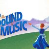 The Sound Of Music Movie Art paint by numbers