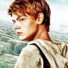 Thomas Brodie Sangster Maze Runner paint by number