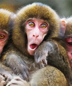 Three Monkeys Animals paint by numbers