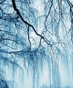 Weeping Willow In Winter paint by number