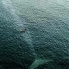 Whale Silhouette Under Boat paint by number