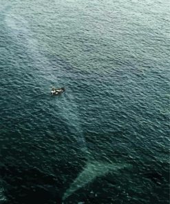 Whale Silhouette Under Boat paint by number