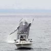 Whale Next To Little Fishing Boat paint by number