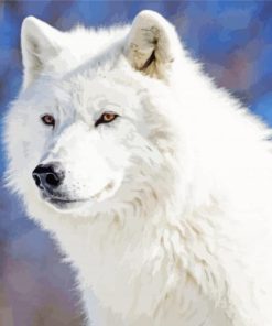 White Arctic Wolf paint by number