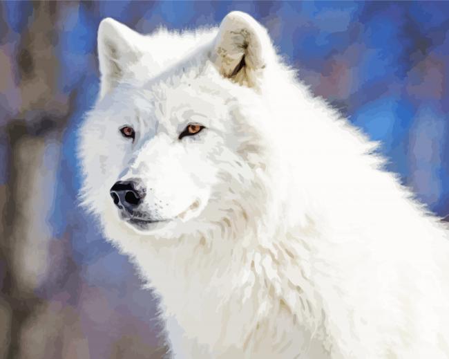 White Arctic Wolf paint by number