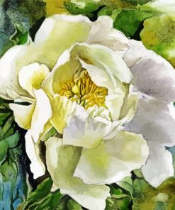 White Peony Art Paint by numbers