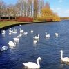 Willen Lake Milton Keynes paint by number