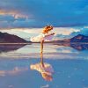 Woman Dancing In Bonneville Salt Flats paint by number