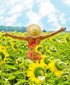 Woman In Sunflowers Fields paint by numbers