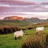 Yorkshire Dales Sunrise paint by numbers