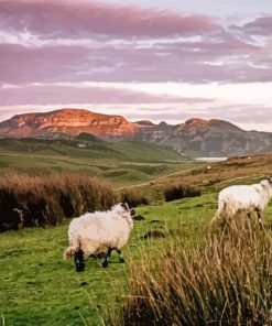 Yorkshire Dales Sunrise paint by numbers