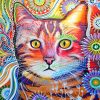 Abstract Cat Art paint by number