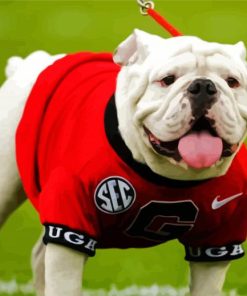 Adorable Georgia Bulldogs paint by number