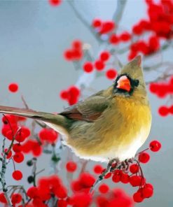 Aesthetic Bird And Red Berries paint by number
