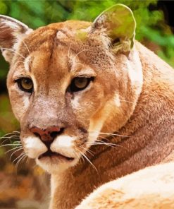Wild Cougar Face paint by numbers