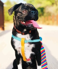 Cute Black Bugg Puppy paint by numbers