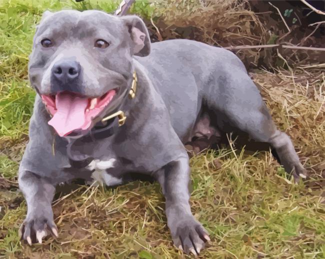Aesthetic Blue Staffie paint by number