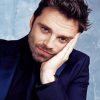 Sebastian Stan paint by numbers