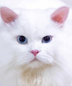 Aesthetic White Persian Cat paint by number