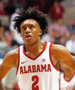 Alabama Crimson Tide Men S Basketball Player paint by number