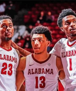 Alabama Crimson Tide Men S Basketball Players paint by number