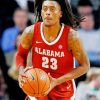 Alabama Crimson Tide Men S Basketball John Petty Jr paint by number