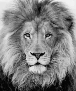 Black And White Lion Animal paint by number