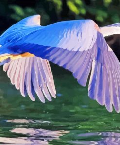 Blue Herron Bird paint by number