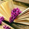 Book And Purple Flowers paint by number