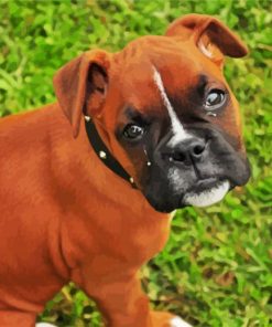 Boxer Dogs Puppies paint by numbers