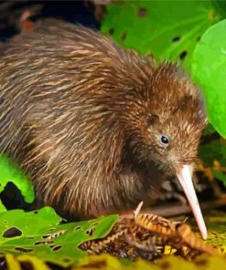 Brown Kiwi Bird paint by number