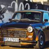 Brown Trabant paint by number