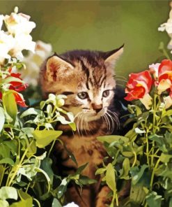 Cat in A Flowery Garden paint by number