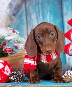 Christmas Puppy paint by number