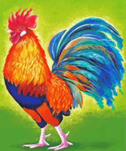 Colorful Chiken Bird Art paint by numbers