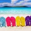 Colorful Flip Flops paint by number