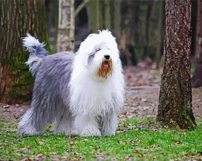Cute Sheep Dog Animal paint by number