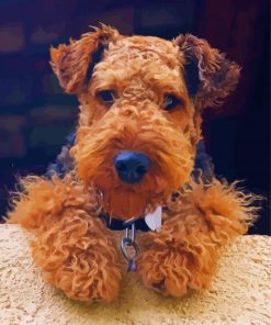 Cute Welsh Terrier paint by number