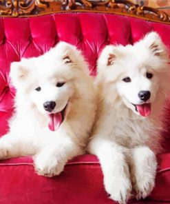 Cute Dogs On Red Couch paint by number