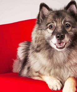 Cute Dog On A Red Couch paint by number