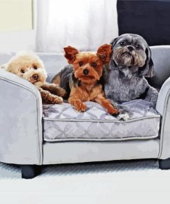 Cute Dogs On Couch paint by number