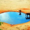 Desert Waterhole paint by number