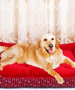 Cute Dog On Red Couch paint by number