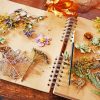 Dried Flowers And Herbs paint by number